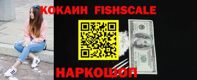 гидра Можга