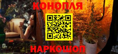 гидра Можга