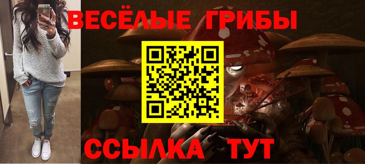 Псилоцибиновые грибы мицелий Сыктывкар